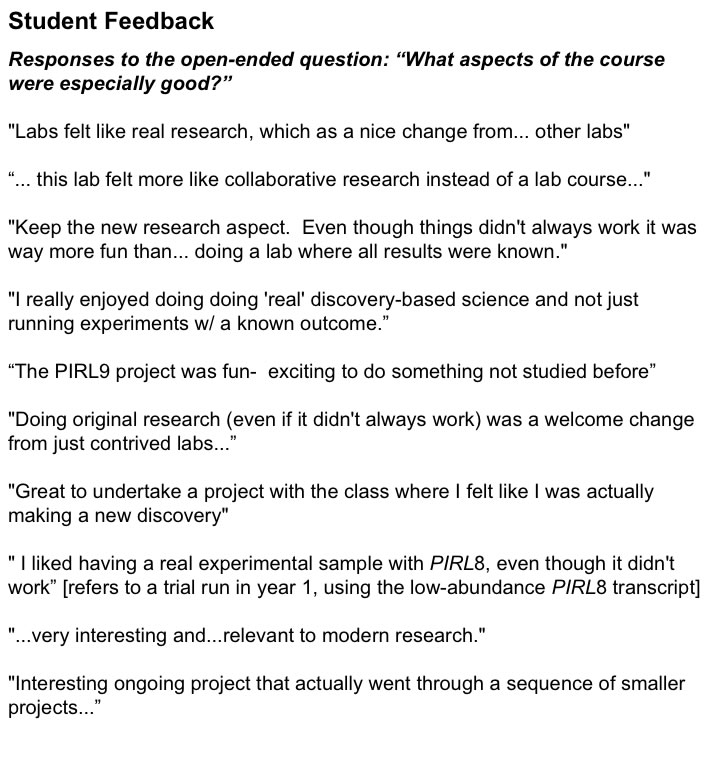 student feedback on project